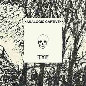 Analogic Captive - TYF (1996​-​1999) download free