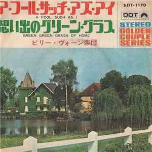 Billy Vaughn And His Orchestra - A Fool Such As I / Green Green Grass Of Home download mp3 flac