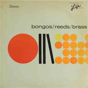 Bob Florence/Big Band - Bongos / Reeds / Brass download free Bob Florence/Big Band - Bongos / Reeds / Brass download mp3 flac