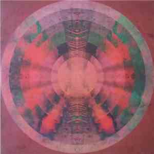 Fink - Looking Too Closely download free