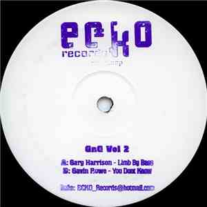 Gary Harrison / Gavin Rowe - GnG Volume 2 download mp3 flac