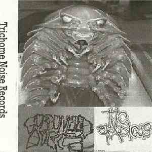 Gorgonized Dorks / THC Eradicus - Split download free Gorgonized Dorks / THC Eradicus - Split download mp3 flac