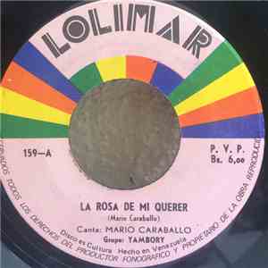 Grupo Verruga - La Rosa De Mi Querer / Momposina download free