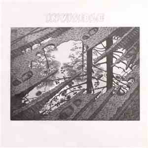 Invisible  - Invisible download free