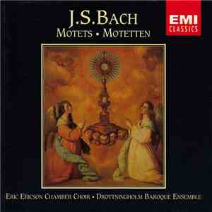 J.S. Bach - Eric Ericson Chamber Choir, Drottningholm Baroque Ensemble - Motets download free