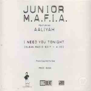 Junior M.A.F.I.A. Featuring Aaliyah - I Need You Tonight download mp3 flac