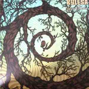Kylesa - Spiral Shadow download free Kylesa - Spiral Shadow download mp3 flac