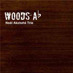 Noël Akchoté Trio - Woods A-Flat download free Noël Akchoté Trio - Woods A-Flat download mp3 flac