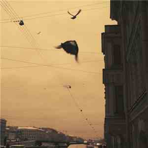 Ownsi Lense - Lost Sounds download mp3 flac