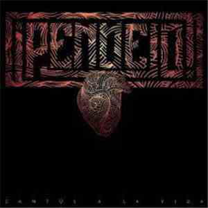 ¡Pendejo! - Cantos A La Vida download mp3 flac