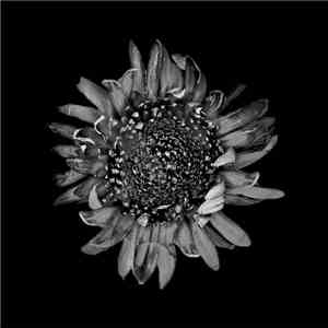 Protest The Hero - Kezia (Remaster) download mp3 flac