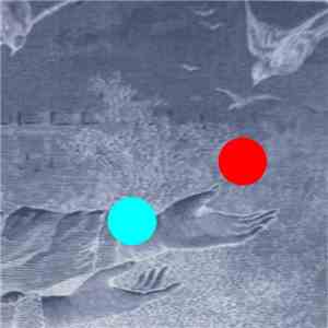 Red Morning Chorus - Love & Bird Song download free