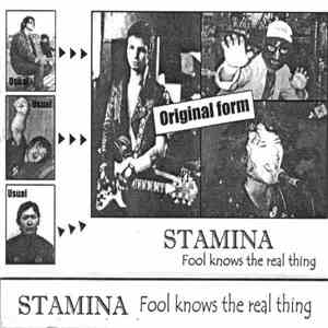 Stamina  - Fool Knows The Real Thing download mp3 flac