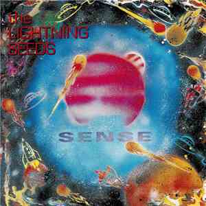 The Lightning Seeds - Sense download mp3 flac