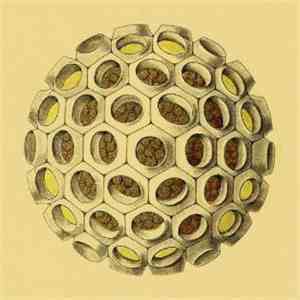 The Pandas  - You Are The Weather download free