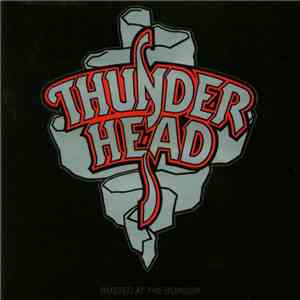 Thunderhead  - Busted At The Border download free