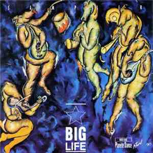 Various - Big Life Sampler download free