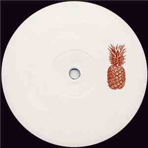 Various - PNP 002 download mp3 flac