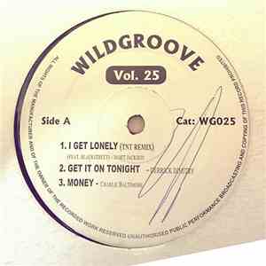 Various - Wildgroove Vol.25 download free